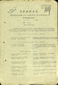 other-soldiers-files/prikaz_o_nagrazhdenii_160.jpg