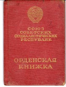 other-soldiers-files/ordenskaya_knizhka_43.jpg