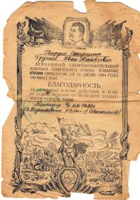 other-soldiers-files/blagodarnost3_7.jpg