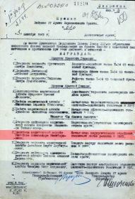 other-soldiers-files/prikaz_o_nagrazhdenii_ordenom_krasnoy_zvezdy_11.jpg