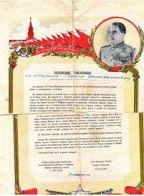 other-soldiers-files/gramota_52.jpg