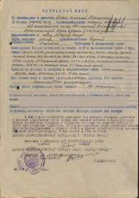 other-soldiers-files/nagradnoy_list_48.png