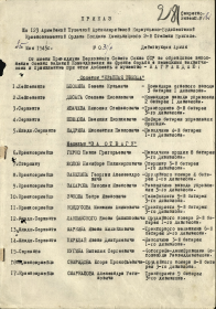 other-soldiers-files/prikaz_12.png