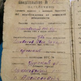 other-soldiers-files/voennik_1_3.jpg