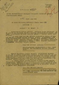 other-soldiers-files/00000478.jpg