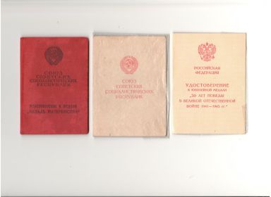 other-soldiers-files/oblozhki_udostovereniy.jpg