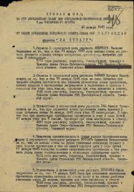 other-soldiers-files/bukreev_i.a.jpg