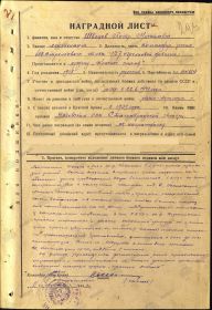 other-soldiers-files/-shvecov_pp_1918gr.jpg