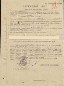 other-soldiers-files/karavaev_0.jpg