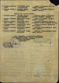 other-soldiers-files/prikaz_za_otvagu_21944.jpg