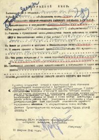 other-soldiers-files/medal_za_boevye_zaslugi1.jpg