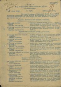 other-soldiers-files/panitishchev_orden_krasnoy.jpg