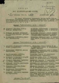 other-soldiers-files/panitishchev_st_serzhant.jpg