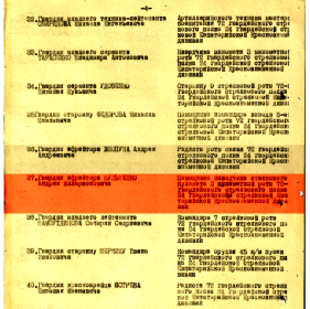 other-soldiers-files/shulzhenko_a.i.png