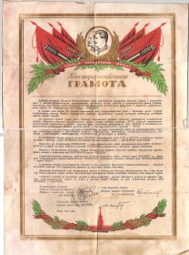 other-soldiers-files/blagodarstvennaya_gramota_3.jpg