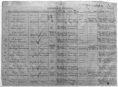other-soldiers-files/fullimage_1_595.jpg