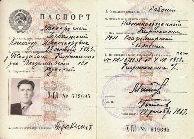 other-soldiers-files/passport.jpg