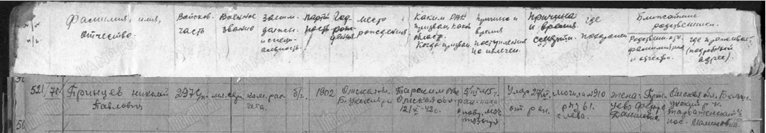 other-soldiers-files/zhurnal_gospitalya.png