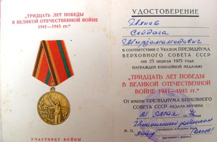 Юбилейная медаль «30  лет Победы в Великой Отечественной войне 1941—1945 гг.»