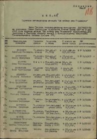 Медаль "За победу над Германией в Великой Отечественной Войне 1941 - 1945 г.г."