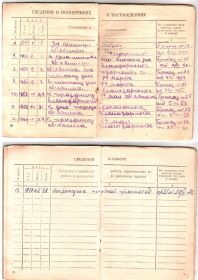 Трудовая книжка 4