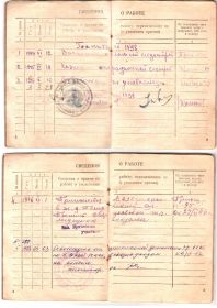 Трудовая книжка 2