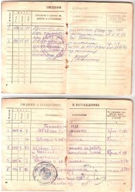 Трудовая книжка 3