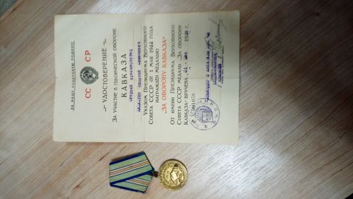 медаль «За победу над Германией в Великой Отечественной Войне 1941-1945 гг»