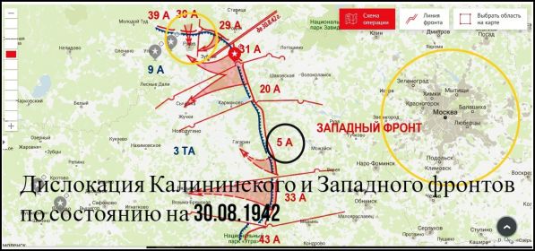 Дислокация войск на Западном и Калининском фронтах на 30 августа 1942 года. 32 ГСП входил в состав 5-й Армии (отмечено на карте).