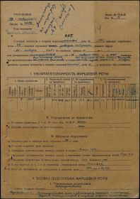 Акт проверки готовности маршевой роты