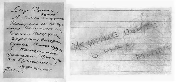 После войны при расчистке парков Петергофа нашли флягу с запиской десантника: