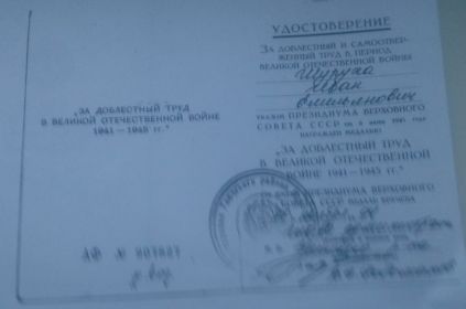 Удостоверение ЗА ДОБЛЕСТНЫЙ И САМООТВЕРЖЕННЫЙ ТРУД В ПЕРИОД ВОВ