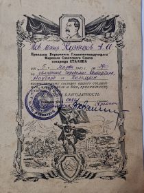 Благодарность за овладение городами Штаргард, Наугард и Польцин от 05.03.1945 №290