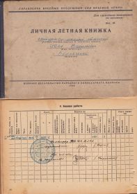 Личная летная книжка