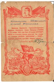 Благодарность Сохачев