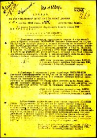 Приказ  164 стр. полку   33 стр. дивизии  2-го  Прибалтийского  фронта  №  0206  от  4 ноября 1943 г._1