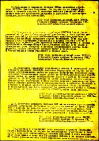 Приказ  164 стр. полку   33 стр. дивизии  2-го  Прибалтийского  фронта  №  0206  от  4 ноября 1943 г._2