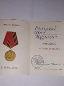 Медаль Жикова