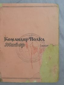 Партизанская книжка