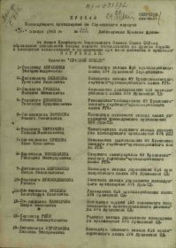 Орден Красной звезды ( приказ, наградной лист, описание подвига)