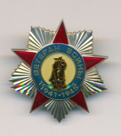 ВЕТЕРАН ВОЙНЫ 1941-1945