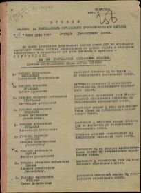 Приказ 11 гвардейского стрелкового краснознаменного корпуса № 074/н от 04.06.1944г.