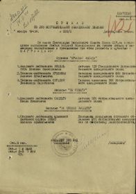 Приказ по 205 истребительной авиационной дивизии №020/H от 8 ноября 1943 года