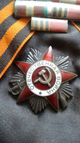 Орден за участие в Великой Отечественной войне