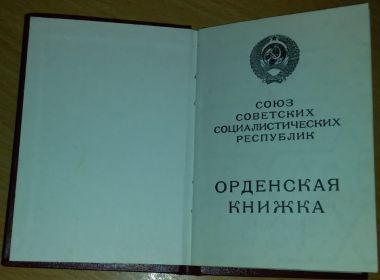 Орденская книжка 2