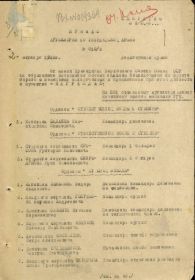 Приказ Артиллерии 10-ой гвардейской армии № 010/н от 2 октября 1943 г. - Орден Красного Знамени - г. Ельня