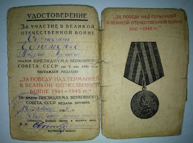 К медали «За победу над Германией в Великой Отечественной войне 1941-1945 гг»