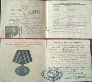 Награжден  медалью за боевые заслуги приказом  войска  13 армии  первого украинского фронта 28 февраля 1945 года. Указом ПРЕЗИДИУМА ВЕРХОВНОГО СОВЕТА СССР от 9 мая  1945 года награжден медалью «За поб