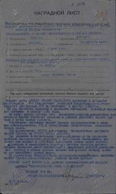 Наградной лист  на орден Отечественной войны II степени