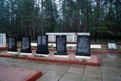 Фото братского захоронения Березовая Аллея в г. Любань Тосненского района Ленинградской области